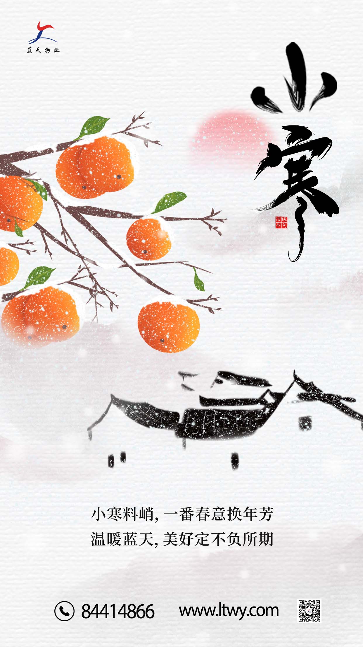 藍(lán)天小寒海報.jpg